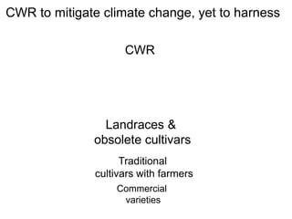 CWR
Landraces &
obsolete cultivars
Traditional
cultivars with farmers
Commercial
varieties
CWR to mitigate climate change, yet to harness
 