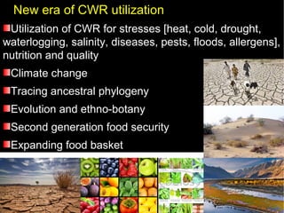 New era of CWR utilization
Utilization of CWR for stresses [heat, cold, drought,
waterlogging, salinity, diseases, pests, floods, allergens],
nutrition and quality
Climate change
Tracing ancestral phylogeny
Evolution and ethno-botany
Second generation food security
Expanding food basket
 