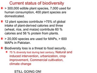 Current status of biodiversity
> 300,000 edible plant species, 7,000 used for
human consumption, 400 plant species are
domesticated.
12 plant species contribute >75% of global
intake of plant-derived calories and three
(wheat, rice, and maize) contribute 60 %
calories and 56 % protein from plants.
> 20,000 species are used for MAPs, > 600
MAPs in Pakistan.
Biodiversity loss is a threat to food security.
75 % diversity lost during last century; Natural and
induced intervention, urbanization, crop
improvement, Commercial cultivation,
climate change
STILL GOING ON!
 
