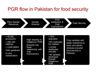 Crop varieties with
better resistance to
biotic and abiotic
stresses ensured
food security in
Pakistan.
PGR flow in Pakistan for food security
 
