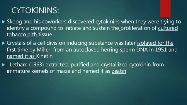 Heringssperma-DNA machen ihn