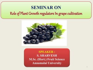 SEMINAR ON
Role of Plant Growth regulators In grape cultivation
SPEAKER :
S. SHARVESH
M.Sc. (Hort.) Fruit Science
Annamalai University
1
 