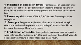 PGr in tuber crops(potatoes, cassava, yam) .pptx