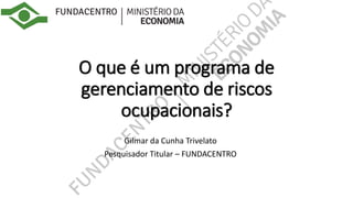 O que é um programa de
gerenciamento de riscos
ocupacionais?
Gilmar da Cunha Trivelato
Pesquisador Titular – FUNDACENTRO
 
