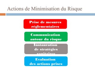 Actions de Minimisation du Risque
Prise de mesures
réglementaires
Communication
autour du risque
Instauration
de stratégies
sanitaires
Evaluation
des actions prises
 