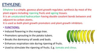 plant growth regulators pdf. For Botany students, plant physiology ...