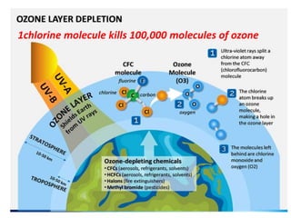 1chlorine molecule kills 100,000 molecules of ozone
 