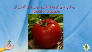 ‫آن‬ ‫کنترل‬ ‫های‬ ‫روش‬ ‫و‬ ‫فرنگی‬ ‫گوجه‬ ‫های‬ ‫بیماری‬
Tomato diseases
 