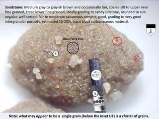 Sandstone: Medium gray to grayish brown and occasionally tan, coarse silt to upper very
fine grained, trace lower fine grained, locally grading to sandy siltstone, rounded to sub
angular, well sorted, fair to moderate calcareous cement, good, grading to very good
intergranular porosity, estimated 15-20%, trace black carbonaceous material.
Note: what may appear to be a single grain (below the inset UF) is a cluster of grains.
Upper Very Fine
 