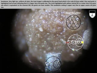 Sandstone: Very light tan, uniform oil stain, the inset image is calibrated to the pencil lead which is for scale (0.5mm wide). One sand grain is
highlighted (red arrow) indicating that it is Upper Very Fine grain size. The circle highlighted with yellow colored fill is a Lower Very Fine grain
size which is equivalent to the coarsest Silt; silt grains are even smaller. This sandstone cutting is upper very fine to upper coarse silt grain
size.
UVF
Upper Very Fine
 