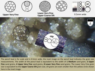 Lower Very Fine
Upper Very Fine Upper Coarse Silt 0.5mm wide
UVF
The pencil lead is for scale and is 0.5mm wide; the inset image on the pencil lead indicates the grain size
measurements. The width of the pencil lead is equivalent to the width of 1 Medium sand grain, 2 Upper
Fine sand grains, 4 Upper Very Fine sand grains, 8 Lower Very Fine sand grains. The Lower Very Fine grain
size is equivalent to the Upper Coarse Silt grain size; silt grains are even smaller than the yellow circle shown
here in the inset image.
 