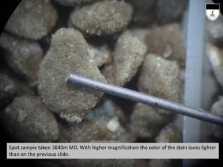 Spot sample taken 3840m MD. With higher magnification the color of the stain looks lighter
than on the previous slide.
 