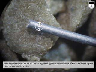 Spot sample taken 3840m MD. With higher magnification the color of the stain looks lighter
than on the previous slide.
 