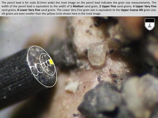 The pencil lead is for scale (0.5mm wide) the inset image on the pencil lead indicates the grain size measurements. The
width of the pencil lead is equivalent to the width of 1 Medium sand grain, 2 Upper Fine sand grains, 4 Upper Very Fine
sand grains, 8 Lower Very Fine sand grains. The Lower Very Fine grain size is equivalent to the Upper Coarse Silt grain size;
silt grains are even smaller than the yellow circle shown here in the inset image.
 