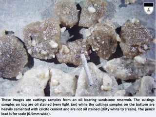 These images are cuttings samples from an oil bearing sandstone reservoir. The cuttings
samples on top are oil stained (very light tan) while the cuttings samples on the bottom are
heavily cemented with calcite cement and are not oil stained (dirty white to cream). The pencil
lead is for scale (0.5mm wide).
 
