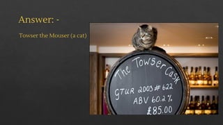 Answer: -
Towser the Mouser (a cat)
 
