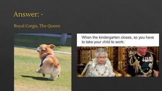 Answer: -
Royal Corgis, The Queen
 