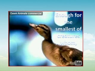 Enough for the smallest of creatures whom,