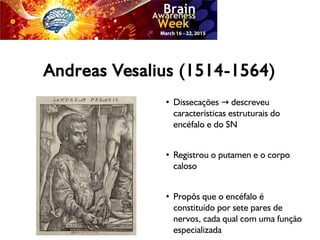 Andreas Vesalius (1514-1564)
●
Dissecações descreveu→
características estruturais do
encéfalo e do SN
●
Registrou o putamen e o corpo
caloso
●
Propôs que o encéfalo é
constituído por sete pares de
nervos, cada qual com uma função
especializada
 