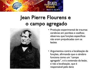 Jean Pierre Flourens e
o campo agregado
●
Produção experimental de traumas
cerebrais em pombos e coelhos;
observou que funções específicas
não eram prejudicadas com as
lesões
●
Argumentou contra a localização de
funções, afirmando que o cérebro
funciona como um “campo
agregado”, e é a extensão da lesão,
e não a localização, que é
responsável pelo dano
 
