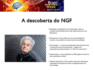 A descoberta do NGF
●
Resultados contraditórios com Hamburger o levam a
convidar Levi-Montalcini para rodar experimentos em seu
laboratório
●
Demonstram morte celular não só na proximidade do
membro, mas também em áreas centrais não-afetadas
●
Elmer Bueker – um sarcoma implantado estimula fortemente
o crescimento de nervos sensoriais sugere uma→
preparação que pode produzir um “fator de crescimento”
●
Experimentos in vitro realizados na UFRJ registram de forma
semi-quantitativa o efeito
●
Tentativa de purificar o fator usando veneno de cobra levam
à descoberta da presença do fator em glândula salivar de
camundongo
 
