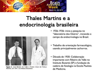 Thales Martins e a
endocrinologia brasileira
●
1926-1936: inicia a pesquisa no
“laboratório dos Ozório”, iniciando o
campo da endocrinologia no Brasil.
●
Trabalho de orientação farmacológica,
usando principalmente cachorros.
●
Década de 1930: Colaboração
importante com Ribeiro do Valle no
Instituto Butantã (SP) e fundação da
cadeira de fisiologia na Escola Paulista
de Medicina.
 