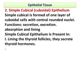 Histology_final_to_Connective,Bone,Cartilage-Tissues_ and_Blood.pdf