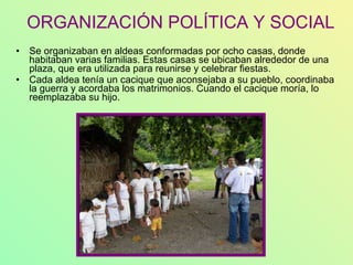 ORGANIZACIÓN POLÍTICA Y SOCIAL Se organizaban en aldeas conformadas por ocho casas, donde habitaban varias familias. Estas casas se ubicaban alrededor de una plaza, que era utilizada para reunirse y celebrar fiestas.  Cada aldea tenía un cacique que aconsejaba a su pueblo, coordinaba la guerra y acordaba los matrimonios. Cuando el cacique moría, lo reemplazaba su hijo.  