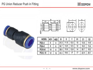 PG Union Reducer Push in Fitting