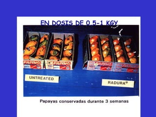 EN DOSIS DE 0,5-1 KGY
 