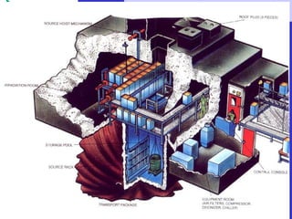 SEMINARIO SOBRE OTRAS APLICACIONES NUCLEARES

         USOS AGROALIMENTARIOS
 