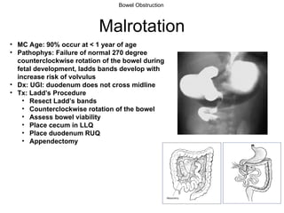 Fetal Intestinal Rotation PGY101-Chapter-48-Ileus-and-Bowel-Obstruction-Copy.ppt
