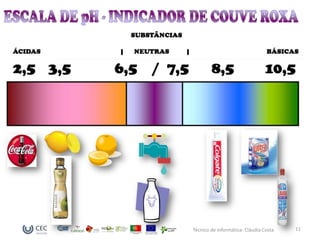 Técnico de Informática- Cláudia Costa   11
 