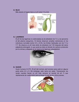 4) BILIS
Bilis desde el hígado tiene un pH entre 7,5 a 8,8.
5) LAGRIMAS
El pH de las lagrimas no estimuladas es de alrededor de 7.4, y se aproxima
al del plasma sanguíneo. Si biense observan amplias variaciones en los
individuos normales (entre 5.0 y 8.35), los límites habituales son de 7.3 a
7.7. Se observa un pH más ácido de alrededor de 7.25 después del cierre
palpebral prolongado, lo que quizá se deba al dióxido de carbono producido
por la córnea y atrapado en la reserva de lágrimas subpalpebral.
6) SUDOR
Sudor humano 5.5 Ph. El pH del normal, piel humana sana está en alguna
parte entre 4.5 y 6. Sin embargo, esto varía con edad. Típicamente, los
recién nacidos tienen un pH más cercano al neutral (el pH 7) que
rápidamente da vuelta ácido para proteger la piel de los niños jovenes.
 