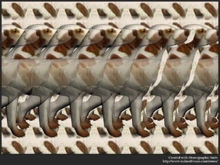 •Human resources availability thru tasking or delegation of some personnel.
 