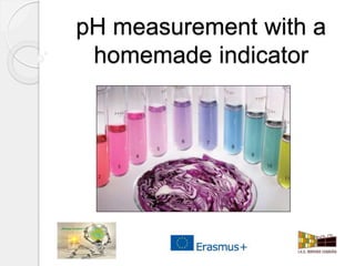 pH measurement with a
homemade indicator
 