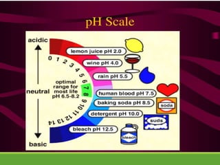 Acid Base pH & Buffer in Biology | PPTX