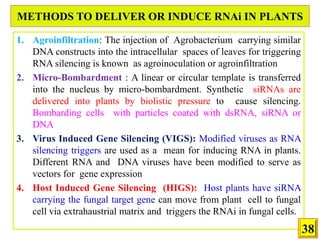 PRESENT STATUS AND ROLE OF BIOTECHNOLOGICAL APPROACHES IN INSECT PEST ...