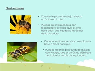 Neutralización
• Cuando te pica una abeja inyecta
un ácido en tu piel.
• Puedes tratar la picadura con
bicarbonato de sodio que es una
base débil que neutraliza los ácidos
de la picadura.
• Cuando te pica una avispa inyecta una
base o álcali en tu piel.
• Puedes tratar las picaduras de avispas
con vinagre, que es un ácido débil que
neutraliza los álcalis de la picadura.
 