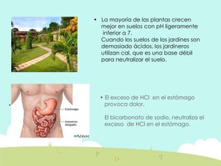 •
• La mayoría de las plantas crecen
mejor en suelos con pH ligeramente
inferior a 7.
Cuando los suelos de los jardines son
demasiado ácidos, los jardineros
utilizan cal, que es una base débil
para neutralizar el suelo.
• El exceso de HCl en el estómago
provoca dolor.
El bicarbonato de sodio, neutraliza el
exceso de HCl en el estómago.
 