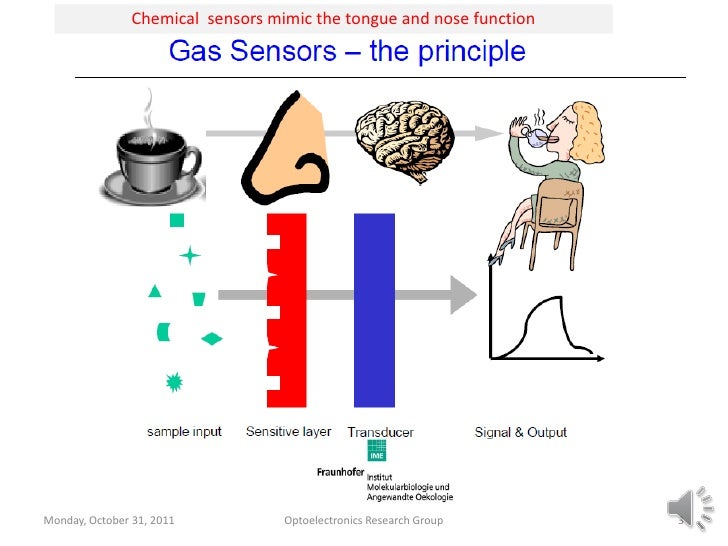 Improvement of ZnO and SnO2 hydrogen gas sensors