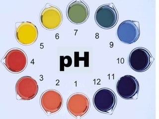 pH
 
