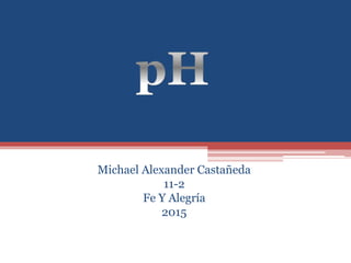 Michael Alexander Castañeda
11-2
Fe Y Alegría
2015
 