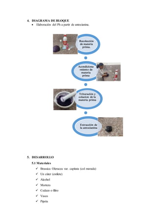 4. DIAGRAMA DE BLOQUE
 Elaboración del Ph a partir de antocianina.
5. DESARROLLO
5.1 Materiales
 Brassica Oleracea var. capitata (col morada)
 Un cúter (estilete)
 Alcohol
 Mortero
 Cedazo o filtro
 Vasos
 Pipeta
Recolección
de materia
prima.
Acondiciona
-miento de
materia
prima
Trituración y
colacion de la
materia prima
Extracción de
la antocianina
 