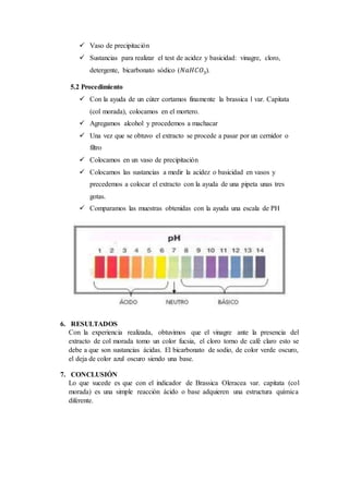  Vaso de precipitación
 Sustancias para realizar el test de acidez y basicidad: vinagre, cloro,
detergente, bicarbonato sódico (𝑁𝑎𝐻𝐶𝑂3).
5.2 Procedimiento
 Con la ayuda de un cúter cortamos finamente la brassica l var. Capitata
(col morada), colocamos en el mortero.
 Agregamos alcohol y procedemos a machacar
 Una vez que se obtuvo el extracto se procede a pasar por un cernidor o
filtro
 Colocamos en un vaso de precipitación
 Colocamos las sustancias a medir la acidez o basicidad en vasos y
precedemos a colocar el extracto con la ayuda de una pipeta unas tres
gotas.
 Comparamos las muestras obtenidas con la ayuda una escala de PH
6. RESULTADOS
Con la experiencia realizada, obtuvimos que el vinagre ante la presencia del
extracto de col morada tomo un color fucsia, el cloro torno de café claro esto se
debe a que son sustancias ácidas. El bicarbonato de sodio, de color verde oscuro,
el deja de color azul oscuro siendo una base.
7. CONCLUSIÓN
Lo que sucede es que con el indicador de Brassica Oleracea var. capitata (col
morada) es una simple reacción ácido o base adquieren una estructura química
diferente.
 