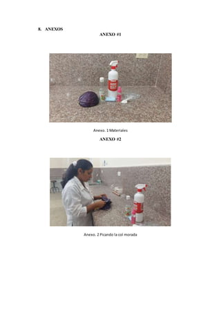 8. ANEXOS
ANEXO #1
Anexo. 1 Materiales
ANEXO #2
Anexo. 2 Picando la col morada
 