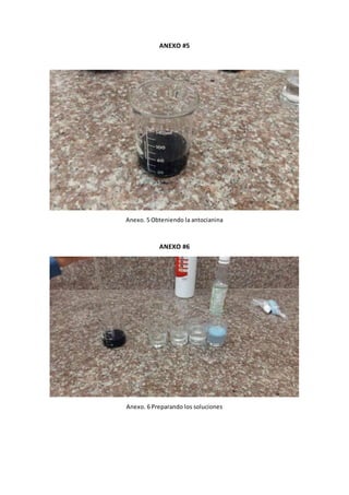 ANEXO #5
Anexo. 5 Obteniendo la antocianina
ANEXO #6
Anexo. 6 Preparando los soluciones
 