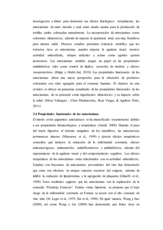 investigación a futuro para demostrar sus efectos fisiológicos. Actualmente, las
antocianinas de maíz morado y azul están siendo usadas para la producción de
tortillas azules coloreadas naturalmente. La incorporación de antocianinas como
colorantes alimenticios, además de mejorar la apariencia total, son muy benéficas
para nuestra salud. Diversos estudios presentan evidencia científica que los
extractos ricos en antocianinas pueden mejorar la agudeza visual, mostrar
actividad antioxidante, atrapar radicales y actuar como agentes quimio
protectores. Las antocianinas también juegan un papel en las propiedades
antidiabéticas tales como control de lípidos, secreción de insulina y efectos
vasoprotectivos (Shipp y Abdel-Aal, 2010). Las propiedades funcionales de las
antocianinas abren una nueva perspectiva para la obtención de productos
coloreados con valor agregado para el consumo humano. El objetivo de esta
revisión es ofrecer un panorama actualizado de las propiedades funcionales de las
antocianinas, de su potencial como ingredientes alimenticios y su impacto sobre
la salud. (Meza Velázquez , Chew Madinaveitia, Reza Vargas, & Aguilera Ortíz,
2011)
3.4 Propiedades funcionales de las antocianinas.
El interés en los pigmentos antociánicos se ha intensificado recientemente debido
a sus propiedades farmacológicas y terapéuticas (Astrid, 2008). Durante el paso
del tracto digestivo al torrente sanguíneo de los mamíferos, las antocianinas
permanecen intactas (Miyazawa et al., 1999) y ejercen efectos terapéuticos
conocidos que incluyen la reducción de la enfermedad coronaria, efectos
anticancerígenos, antitumorales, antiinflamatorios y antidiabéticos; además del
mejoramiento de la agudeza visual y del comportamiento cognitivo. Los efectos
terapéuticos de las antocianinas están relacionados con su actividad antioxidante.
Estudios con fracciones de antocianinas provenientes del vino han demostrado
que estas son efectivas en atrapar especies reactivas del oxígeno, además de
inhibir la oxidación de lipoproteínas y la agregación de plaquetas (Ghiselli et al.,
1998). Estos resultados sugieren que las antocianinas son la explicación de la
conocida “Paradoja Francesa”. Existen varias hipótesis, se propone que el bajo
riesgo de la enfermedad coronaria en Francia se asocia con el alto consumo de
vino tinto (St. Leger et al., 1979; Xia et al., 1998). De igual manera, Wang y Jiao
(2000), así como Wang y Lin (2000) han demostrado que frutos ricos en
 