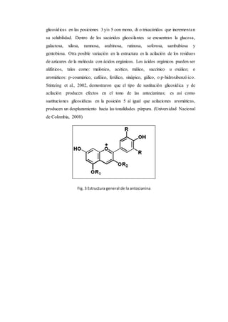 glicosídicas en las posiciones 3 y/o 5 con mono, di o trisacáridos que incrementan
su solubilidad. Dentro de los sacáridos glicosilantes se encuentran la glucosa,
galactosa, xilosa, ramnosa, arabinosa, rutinosa, soforosa, sambubiosa y
gentobiosa. Otra posible variación en la estructura es la acilación de los residuos
de azúcares de la molécula con ácidos orgánicos. Los ácidos orgánicos pueden ser
alifáticos, tales como: malónico, acético, málico, succínico u oxálico; o
aromáticos: p-coumárico, caféico, ferúlico, sinápico, gálico, o p-hidroxibenzóico.
Stintzing et al., 2002, demostraron que el tipo de sustitución glicosídica y de
acilación producen efectos en el tono de las antocianinas; es así como
sustituciones glicosídicas en la posición 5 al igual que acilaciones aromáticas,
producen un desplazamiento hacia las tonalidades púrpura. (Universidad Nacional
de Colombia, 2008)
Fig. 3 Estructura general de la antocianina
 
