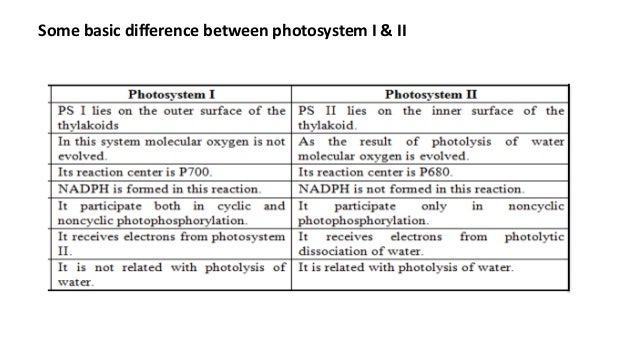 Photosystem - YouTube